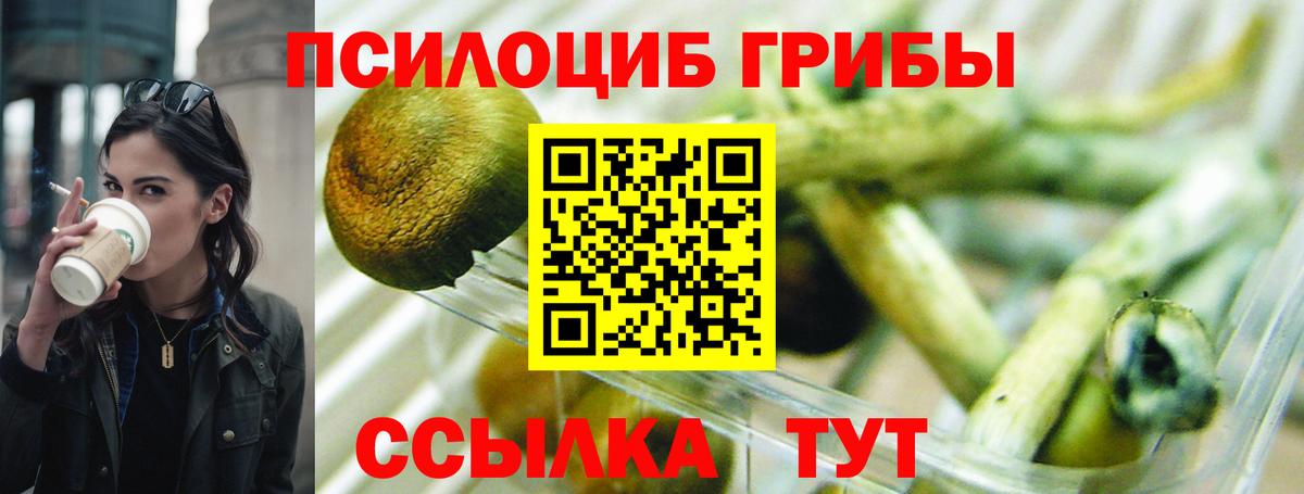 Псилоцибиновые грибы мицелий Ессентуки